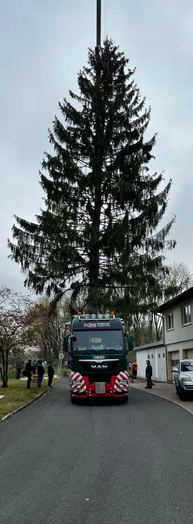 Anlieferung Weihnachtsbaum f&uuml;r den Erfurter Domplatz 2